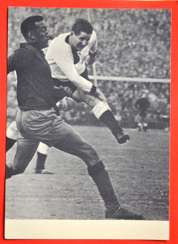 Pinguin fußball bundesliga - pinguin,