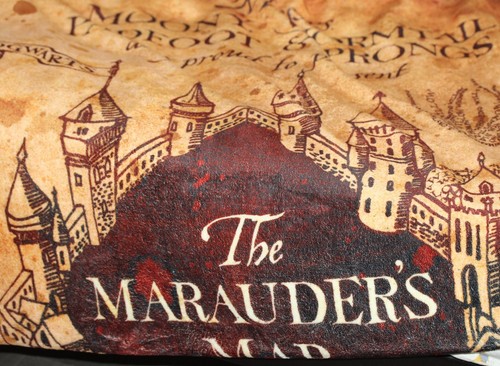 Harry potter kuscheldecke - harry,