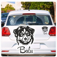 Australian shepherd name - australian,