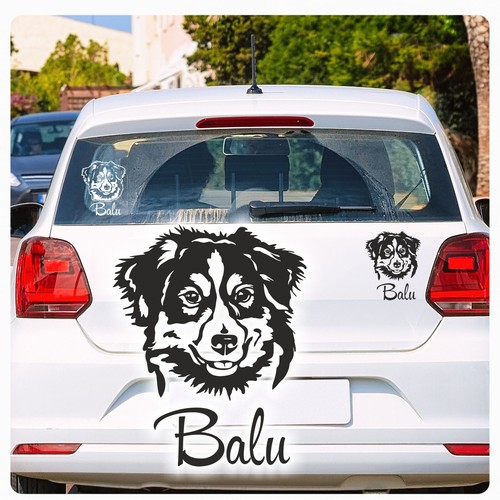 Australian shepherd name - australian,