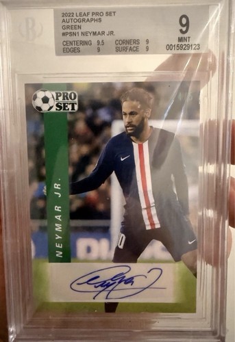 Pop leaf 2022 - 1,