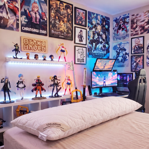 Dakimakura langkissen - dakimakura,