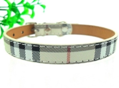 Hundehalsband halsband luxus - hundehalsband,