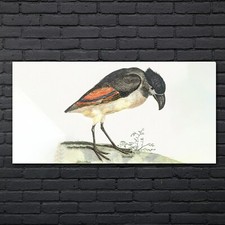 Zeichnung Tier Vogel Kunst