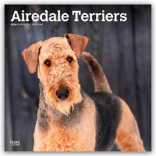 Airedale Terrier 2026 -