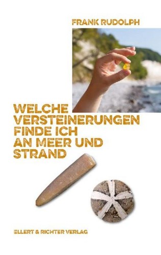 Welche versteinerungen finde - versteinerungen,