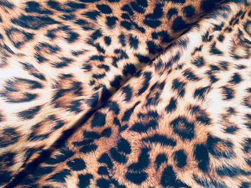 Digi leopard animal - leopard,