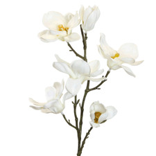 Magnolienast künstlich weiß