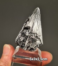 💎Video🌈Top Vitrinenstufe