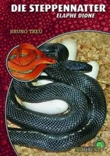 Bruno Treu | Die Steppennatter