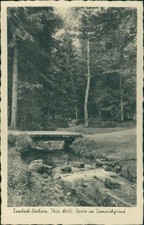 Ansichtskarte Tambach Dietharz Thüringer Wald Partie im Tammichgrund  (Nr.9611)