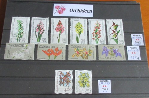 Motive orchideen - motive,