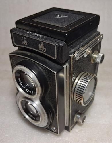 Seagull tlr 6x6 - (as,