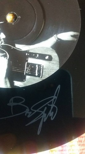 Bruce springsteen vinyl - springsteen,