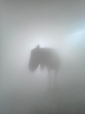 35 ³!! STARTERSET für Ihre