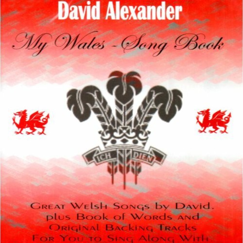 David alexander mein wales - david,