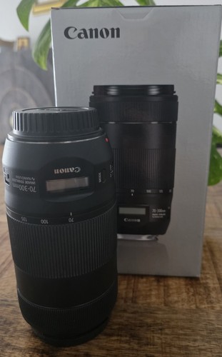 Canon 300 4 5 6 - mm, is