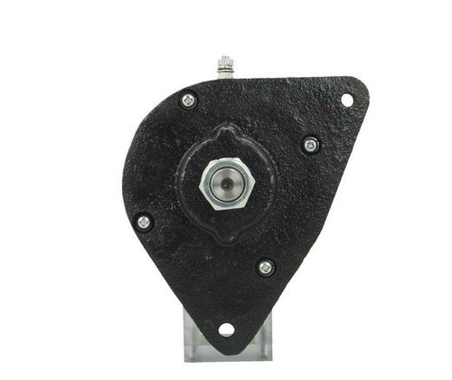 Dynastarter linksoml excl - dynastarter, (excl