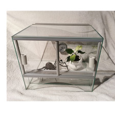 Glas terrarium mit - glas-terrarium,