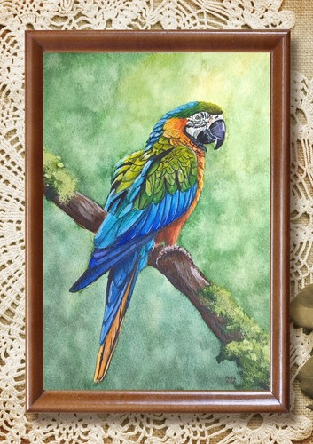 Papagei gemälde aquarell - gemälde, in