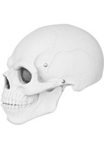 Halloween Karneval Latex Maske