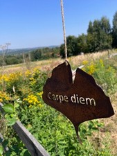 Rostige Stahl-Deko "Carpe Diem" Edelrost Garten Deko Rost 27 x 20 cm