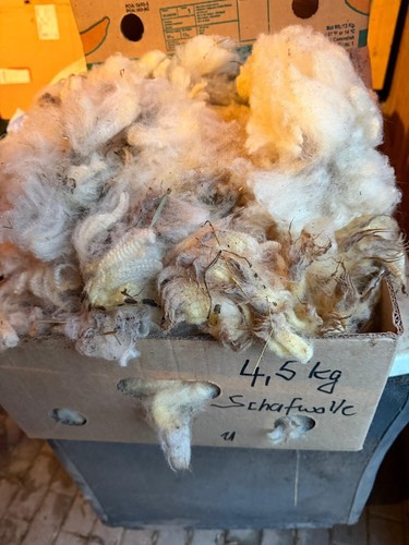 10 kg schafwolle - 9,5,