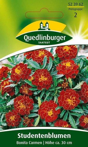 Studentenblumen bonita carmen - studentenblumen,