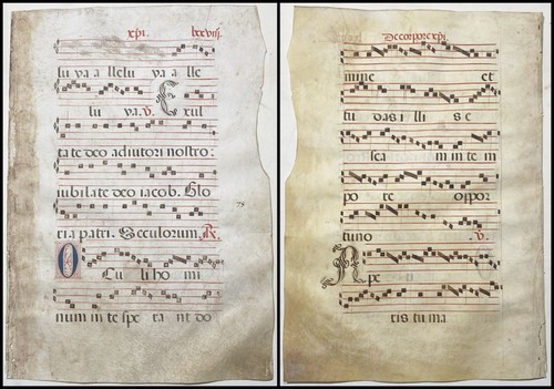 Antiphonar antiphonary - antiphonar,