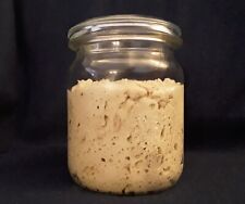 Lievito Madre / Lievito Mamma / Sauerteig Anstellgut BIO-Dinkel