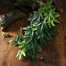 Lieferungen Aquarium