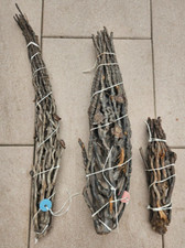 1x Kokosrispe L ca. 50-60cm