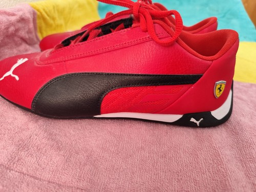 Puma cat - puma, sf