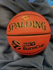 Spalding TF 1000 Legacy indoor