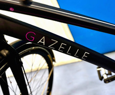 DamenCitybike, GAZELLE: City