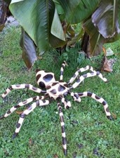 Q 40cm Holz Tarantel Vogel