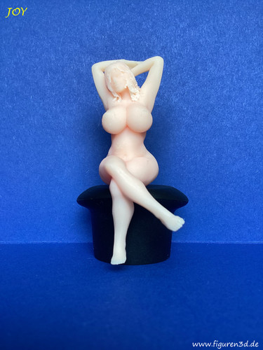 Sexy girl figur frau - girl,