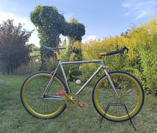 Customized singlespeed fixie - customized,