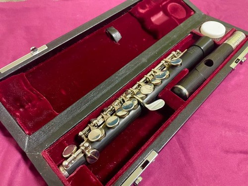 Takezawa piccolo 205 - 205-evr, japan