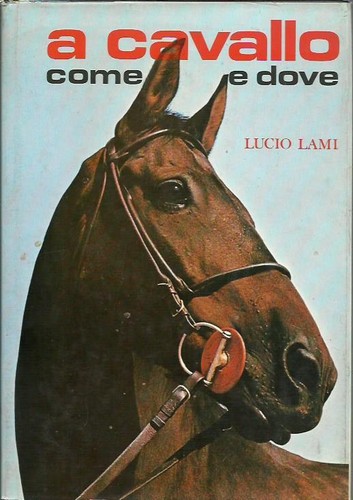 Reiten wie und - , wo