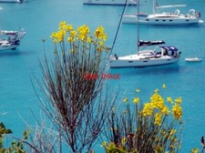 FOTO DIE LEUCHTENDEN FARBEN