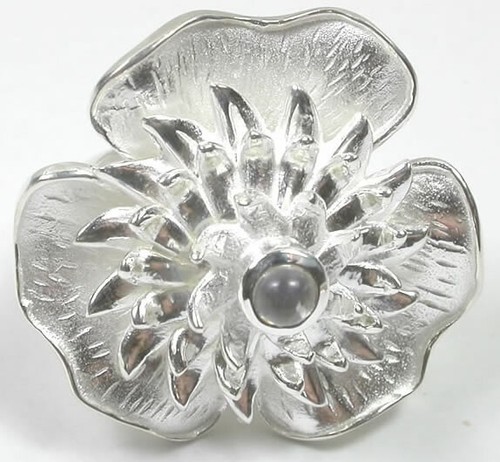 Große blume sterling - blume,