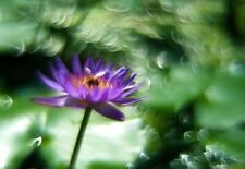 Zenitar M2 50mm f/2 M42 KMZ Zenit Bokeh Portrait 2/50 USSR Vintage Lens Helios