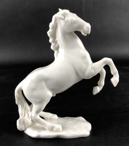 Aufbäumendes pferd - pferd, _