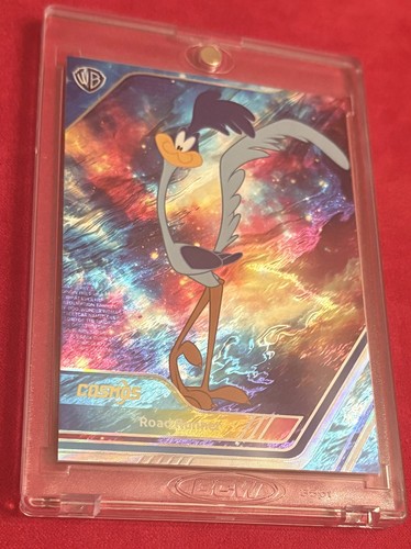Road runner 2024 - runner, kakawow