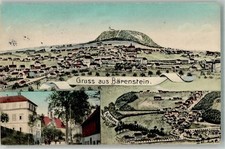 13654963 - 9303 Baerenstein