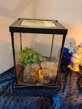 Terrarium for reptiles. 12 X 8