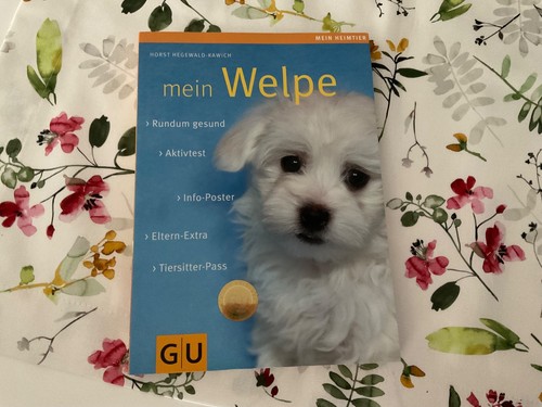 Mein welpe rundum - welpe, gesund