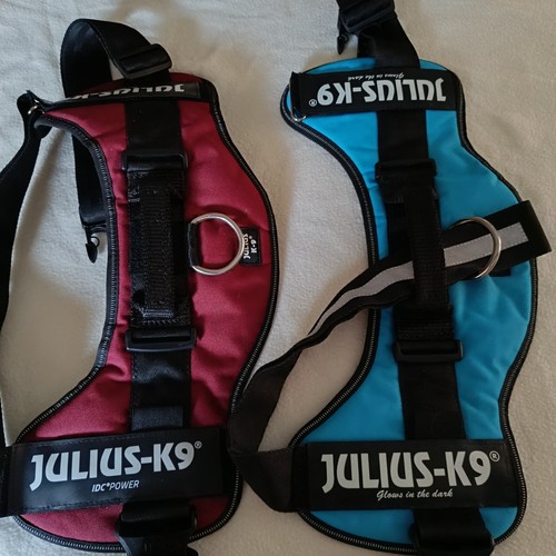 Julius 9 hundegeschirr - ,