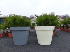 übertopf cm blumentopf - Übertopf,